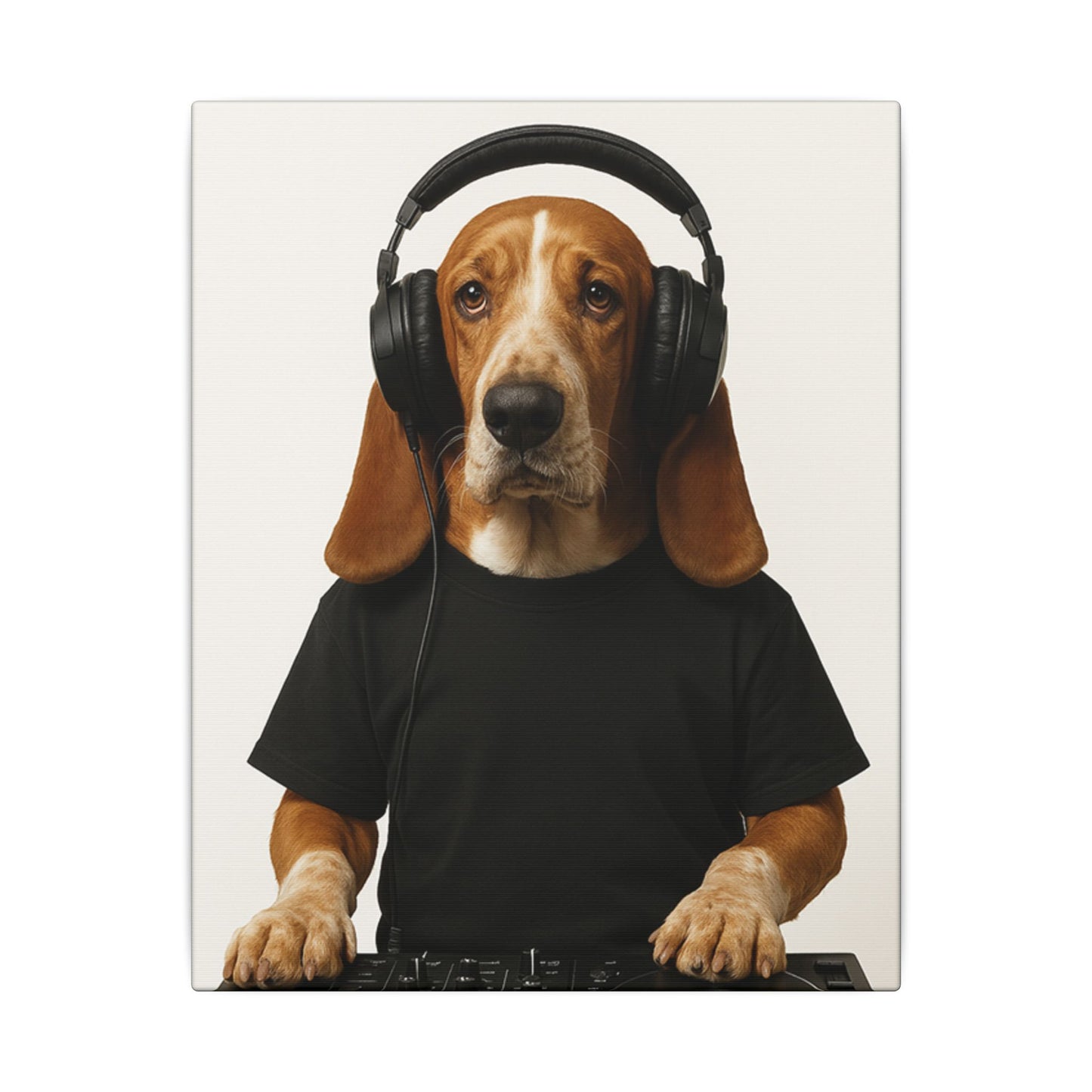 The DJ