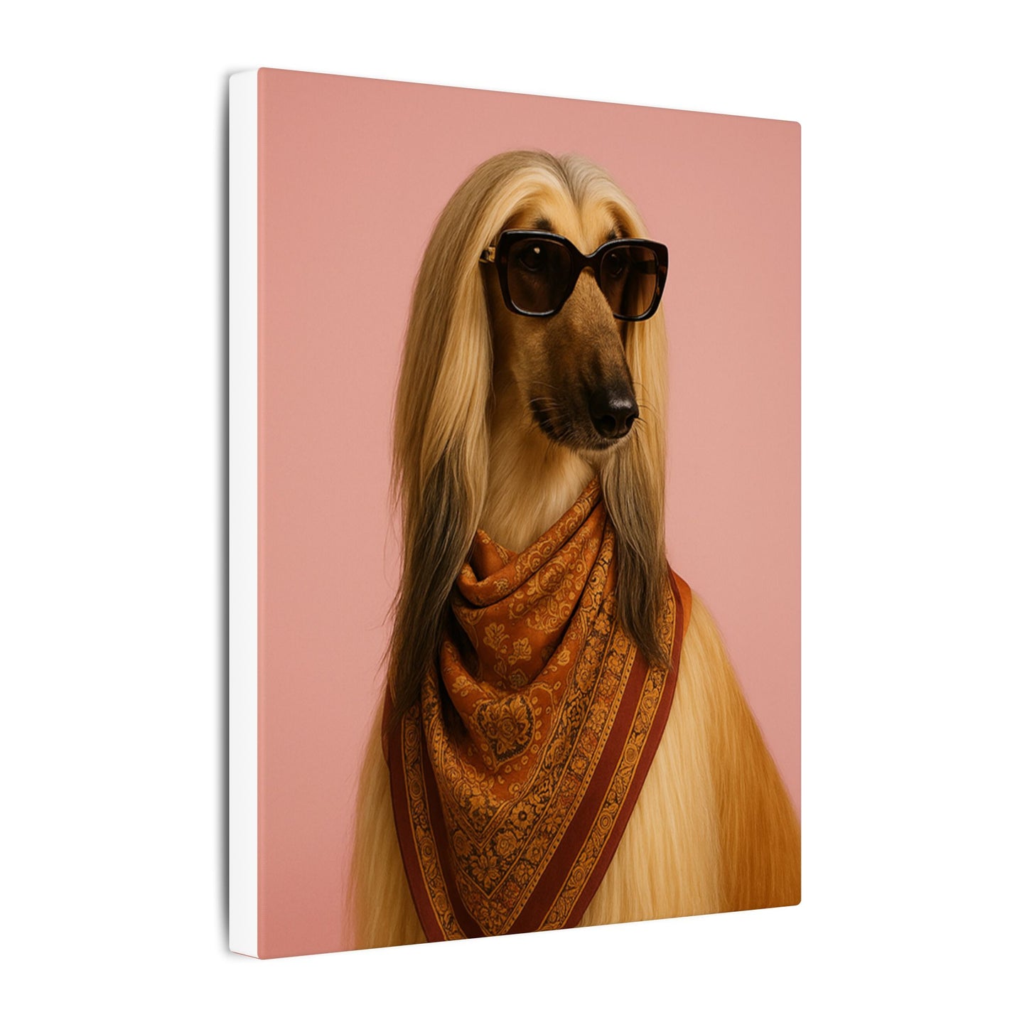 the Fashionista
