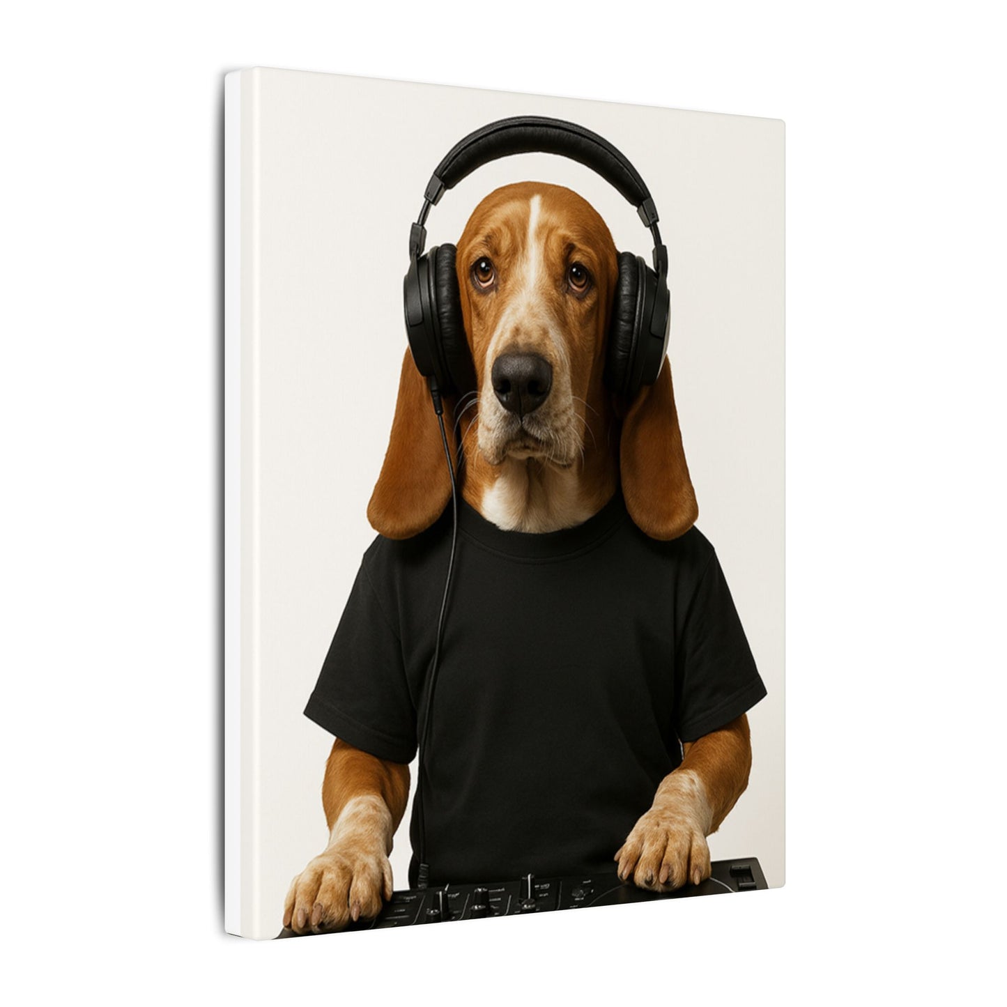 The DJ