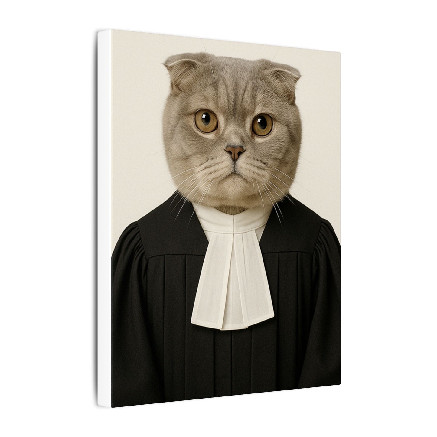 The Judge