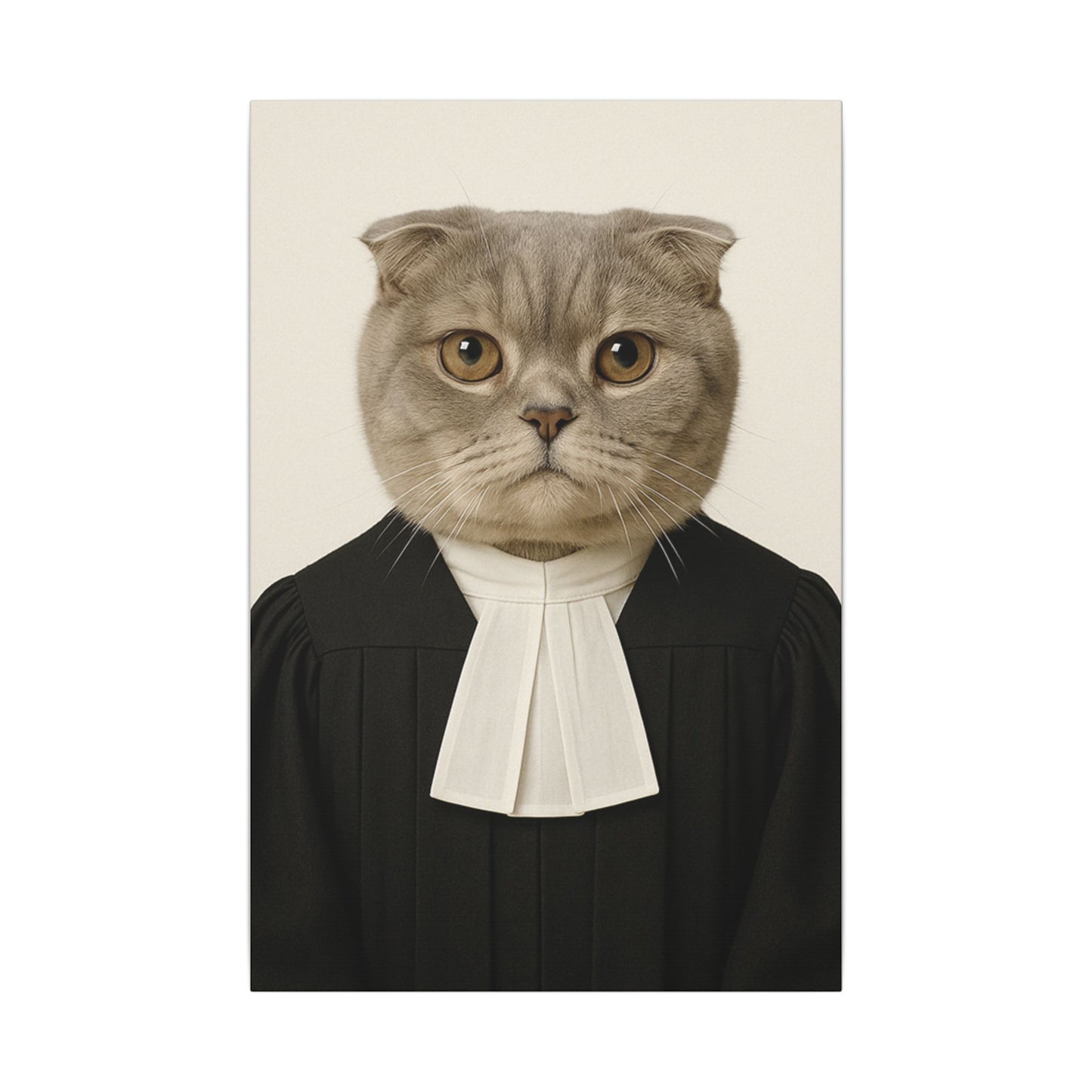 The Judge