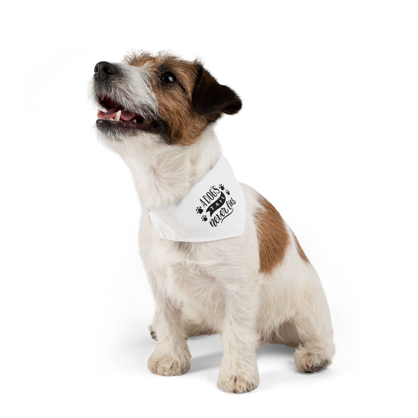 Custom Charming Pet Bandana Collar for Dogs