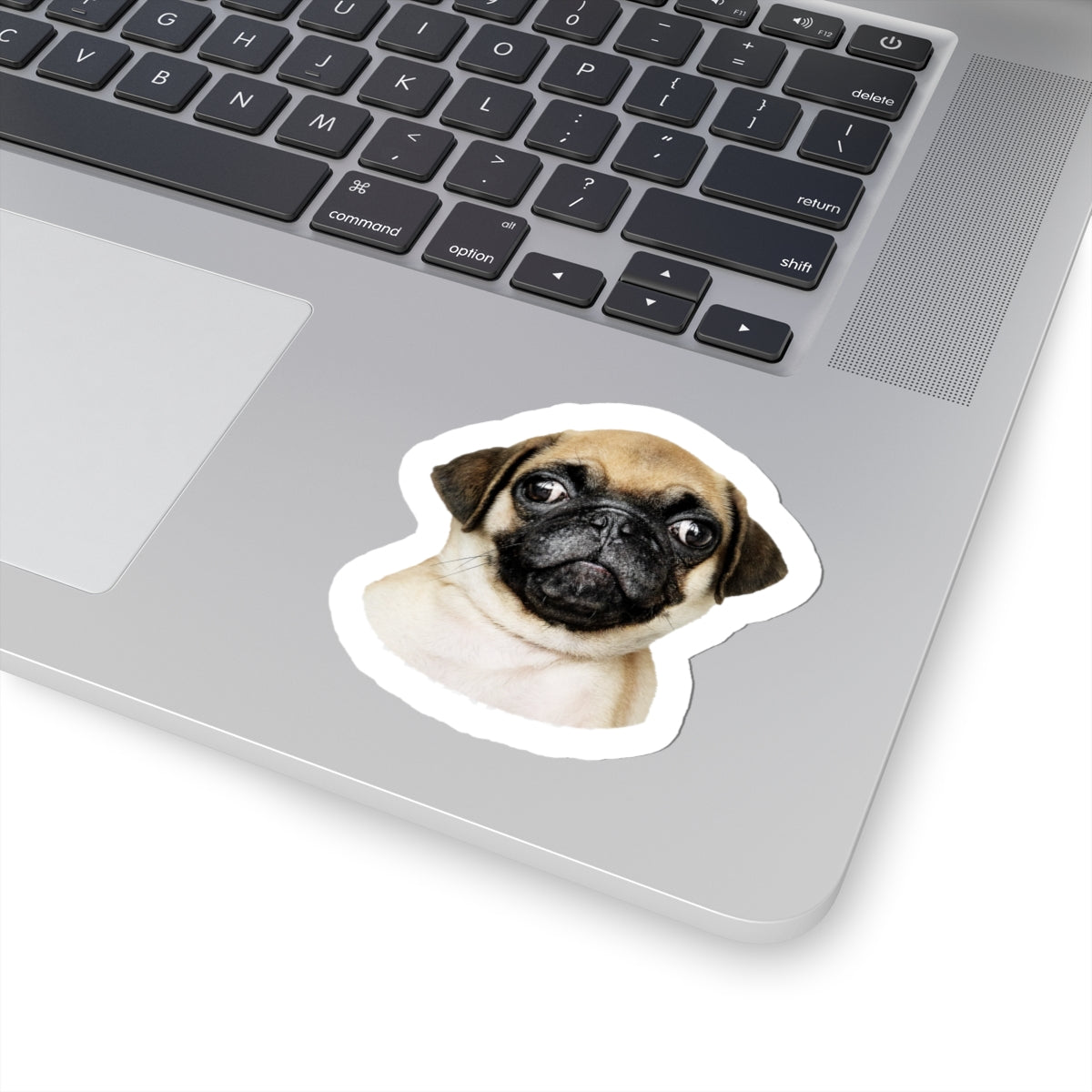 Adorable Pug Face Kiss-Cut Stickers