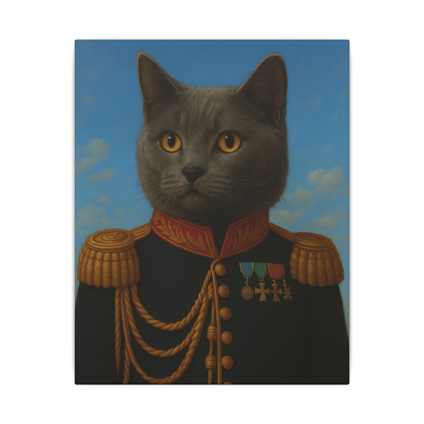 The Veteran