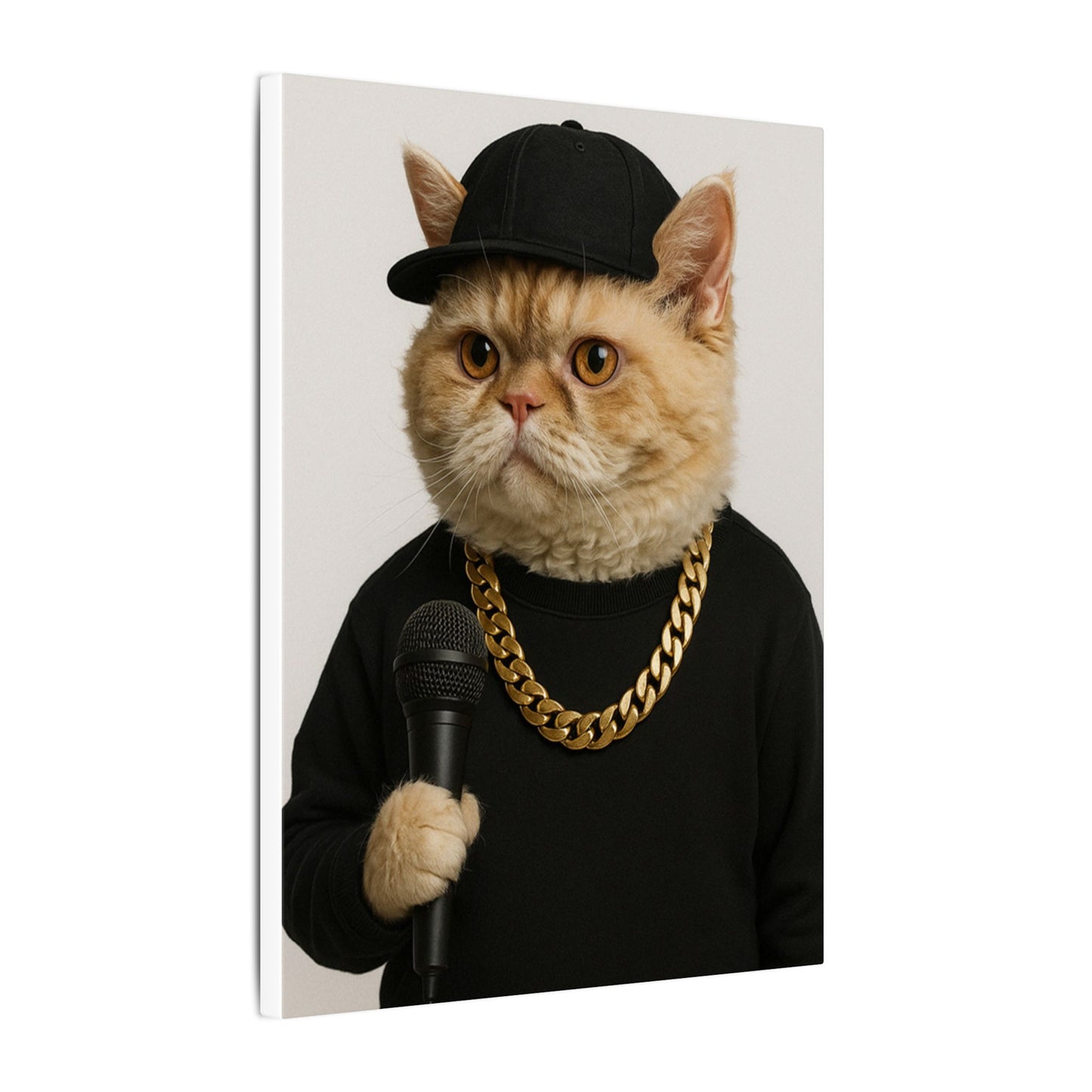The Rapper