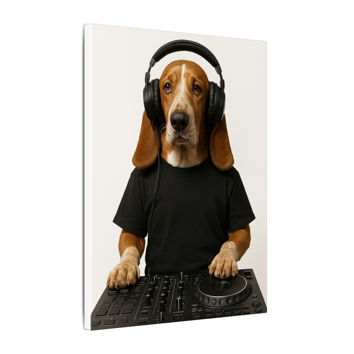 The DJ