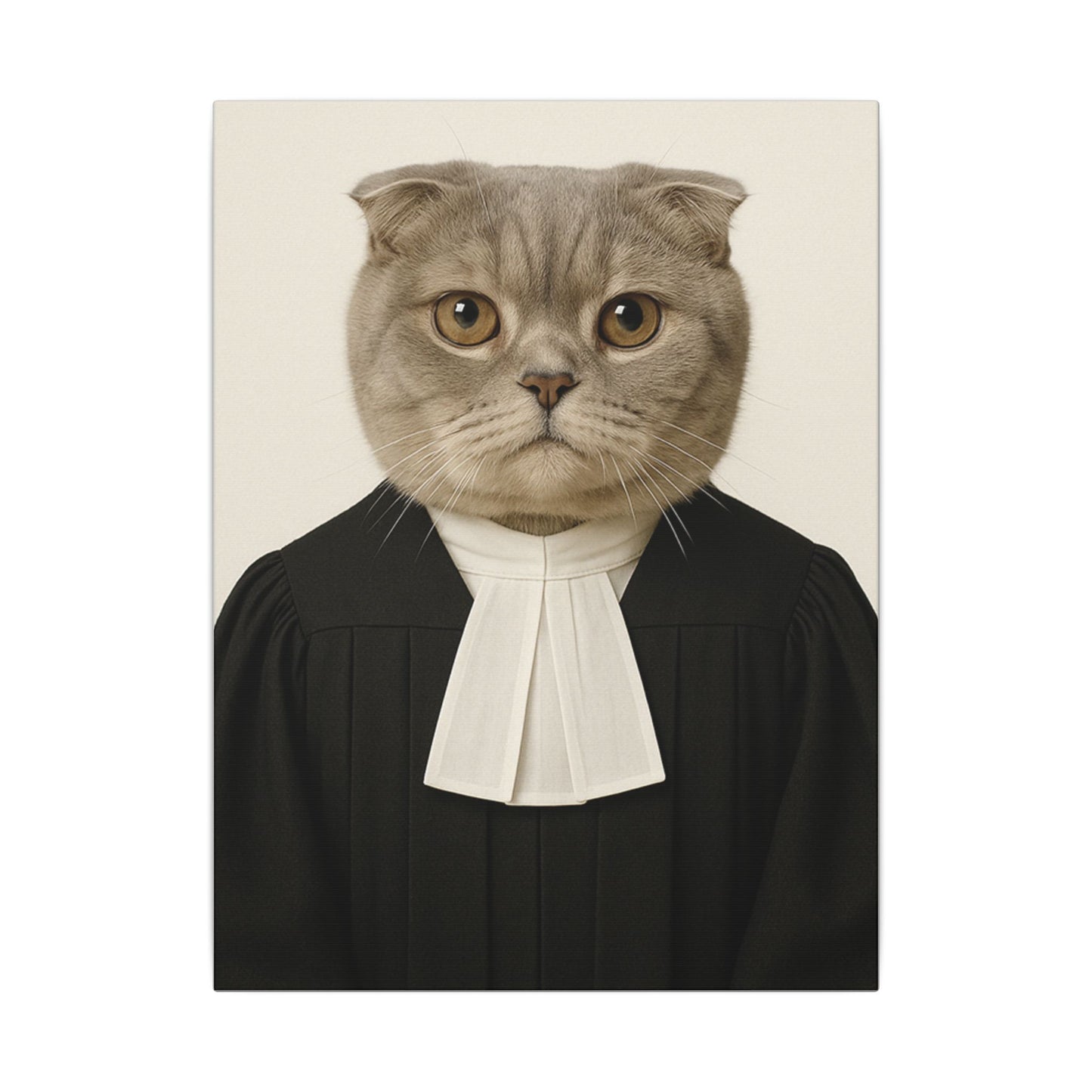 The Judge