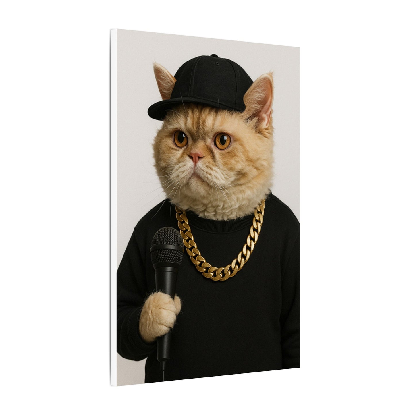 The Rapper