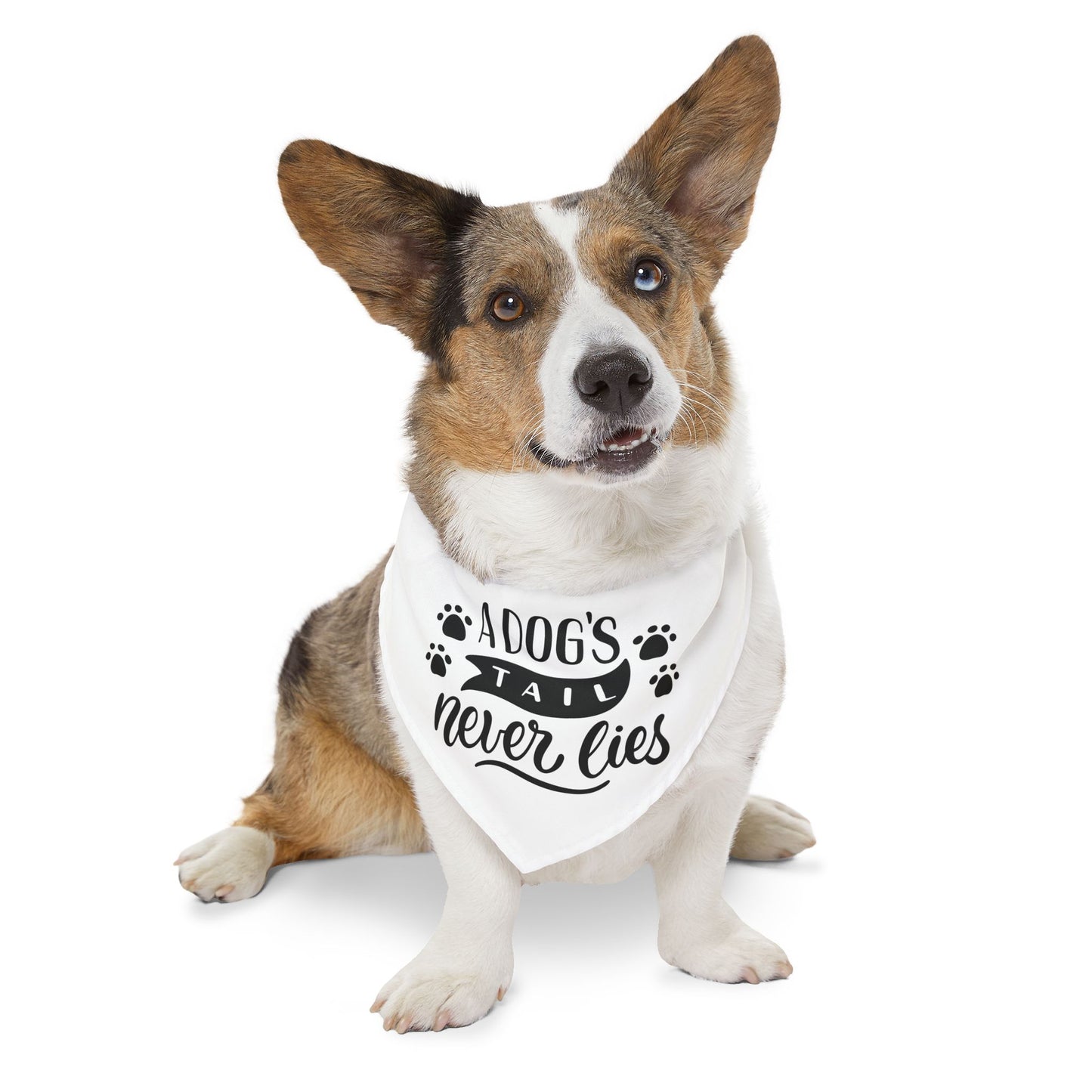 Custom Charming Pet Bandana Collar for Dogs