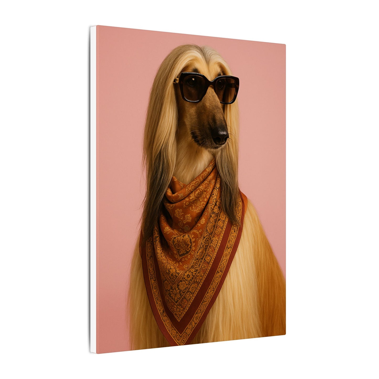 the Fashionista