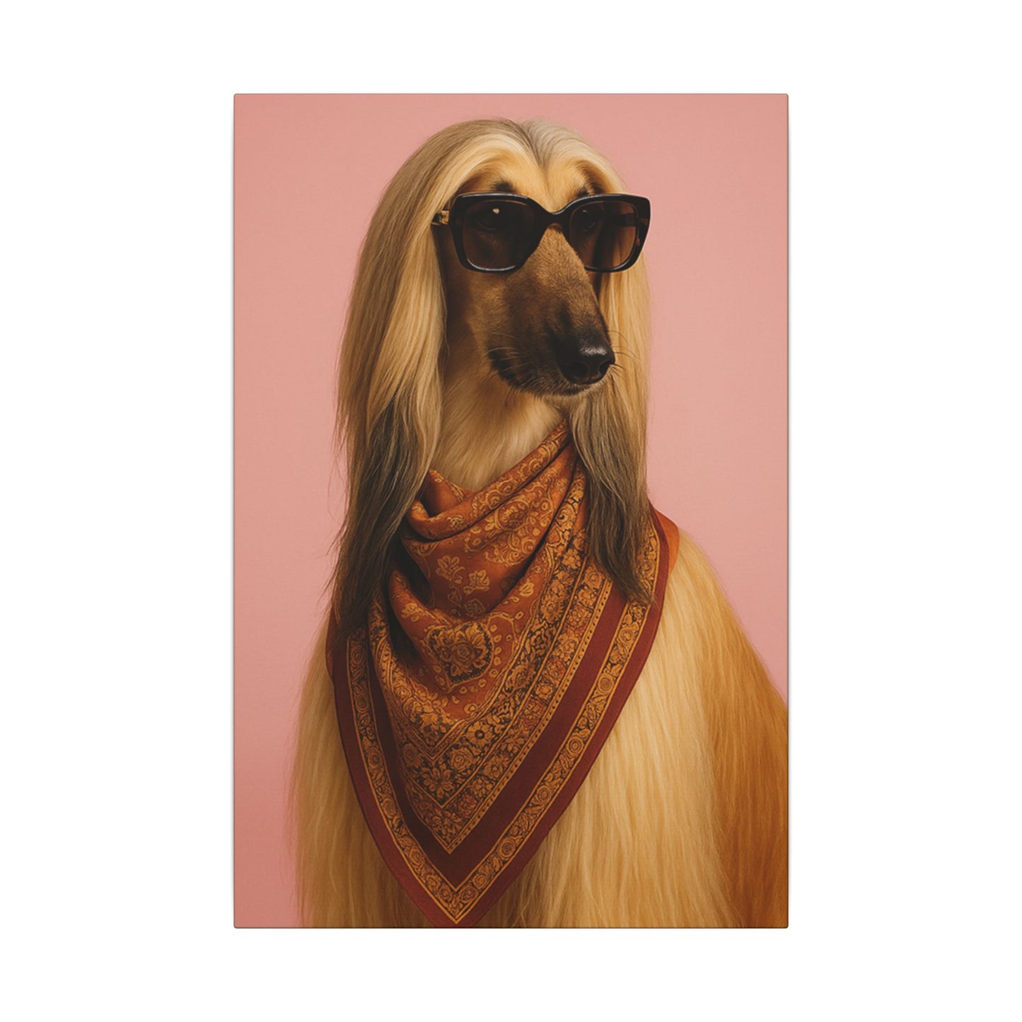 the Fashionista