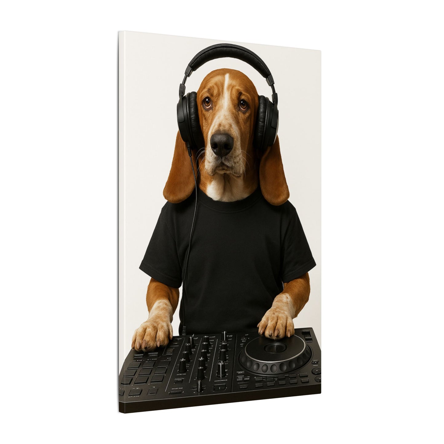 The DJ