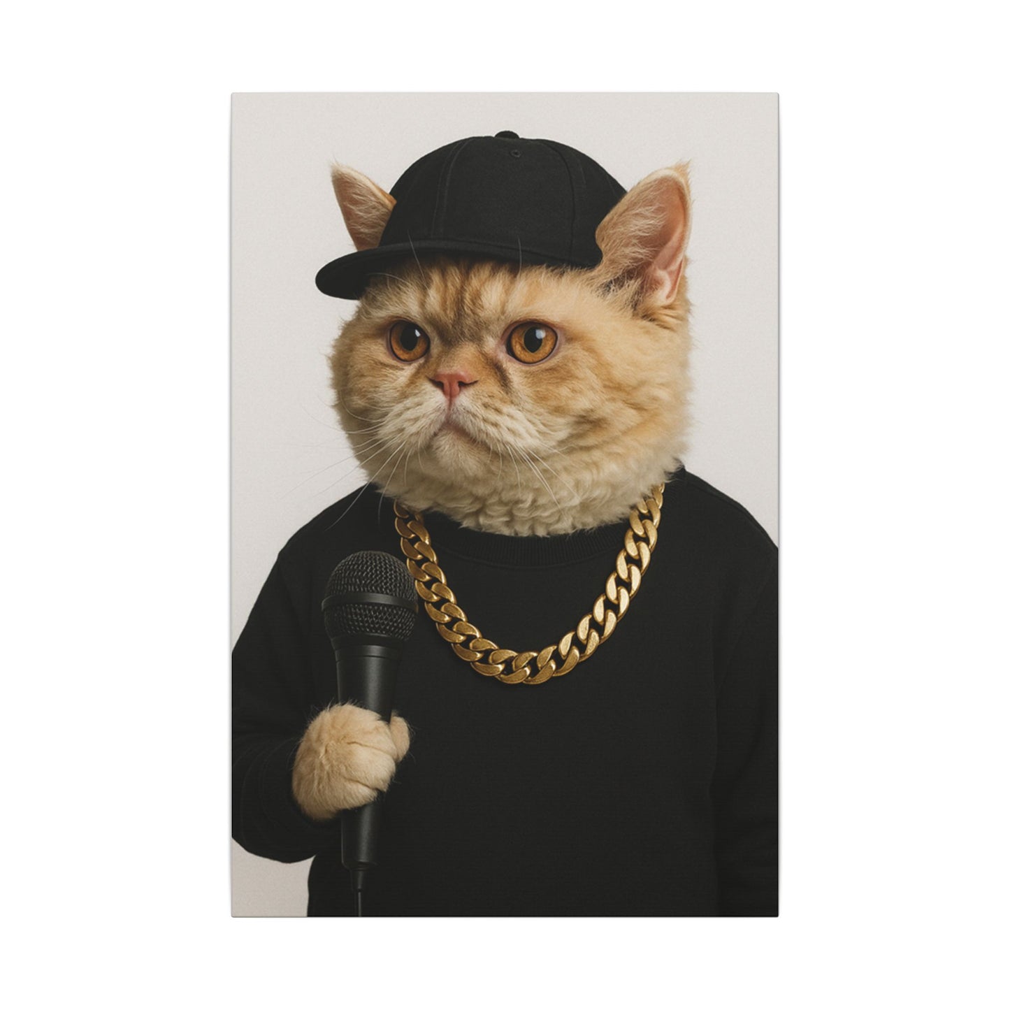 The Rapper