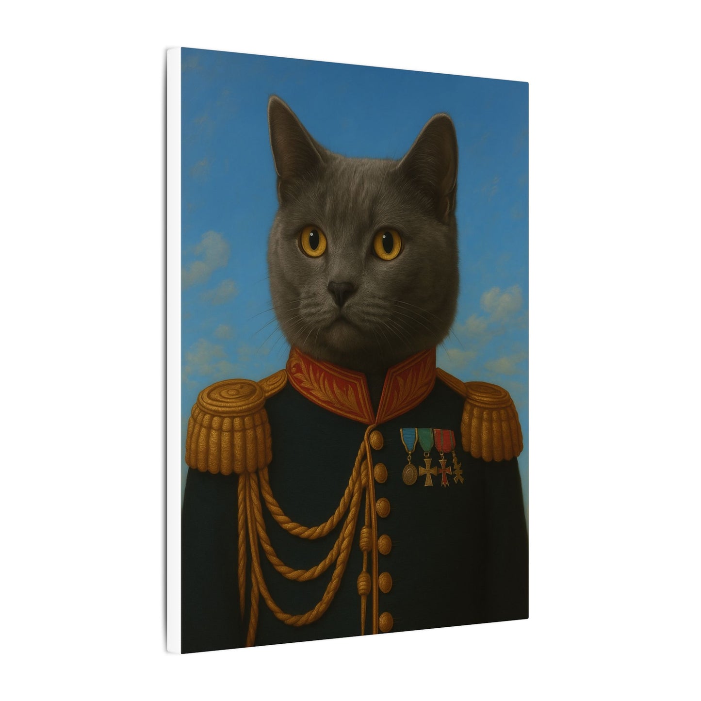 The Veteran
