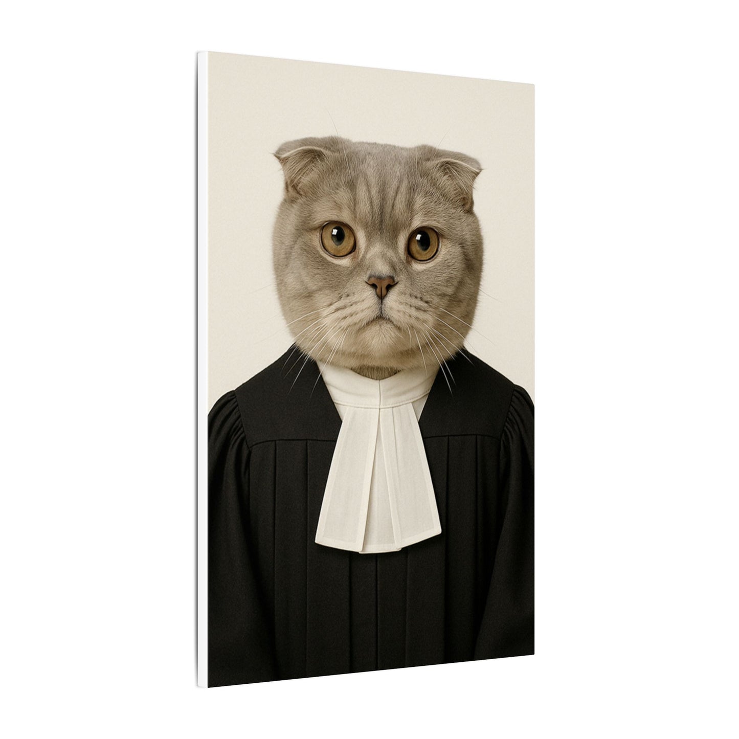 The Judge