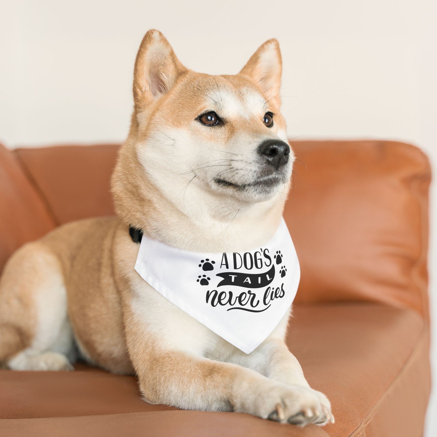 Custom Charming Pet Bandana Collar for Dogs