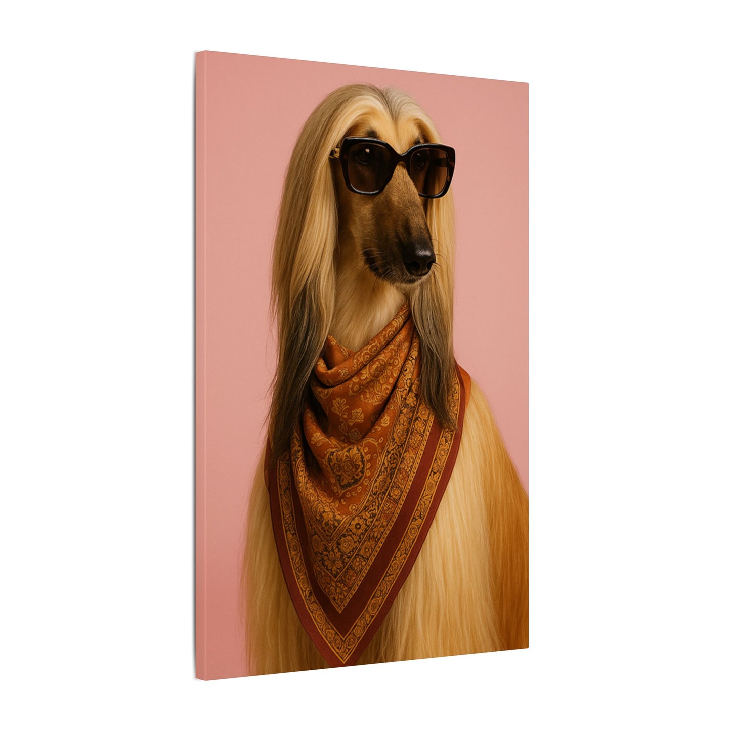 the Fashionista