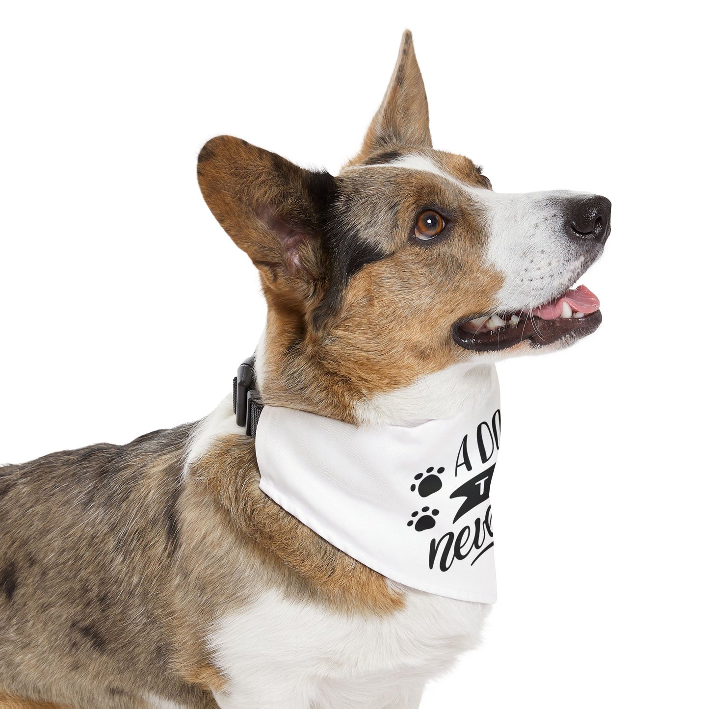 Custom Charming Pet Bandana Collar for Dogs