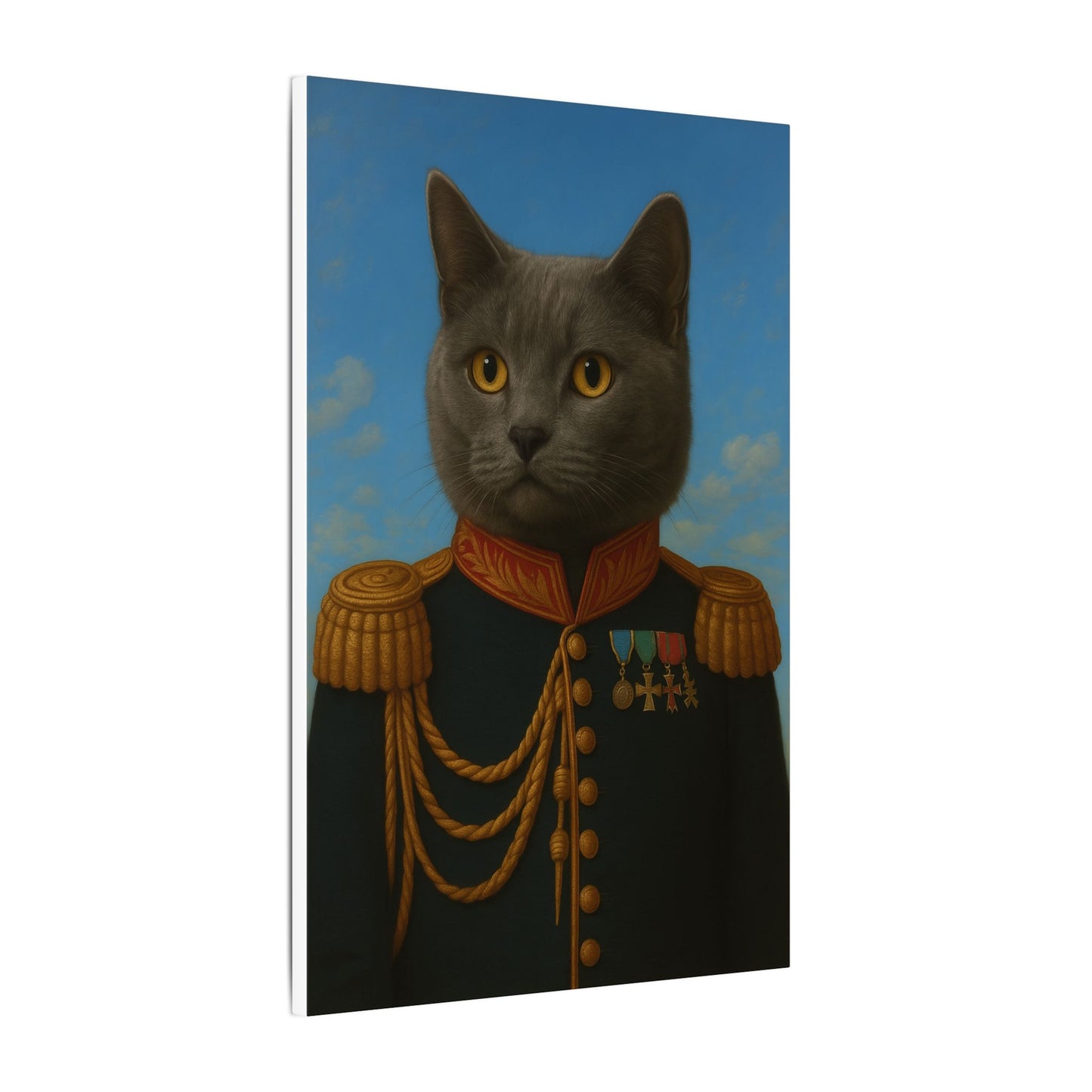 The Veteran