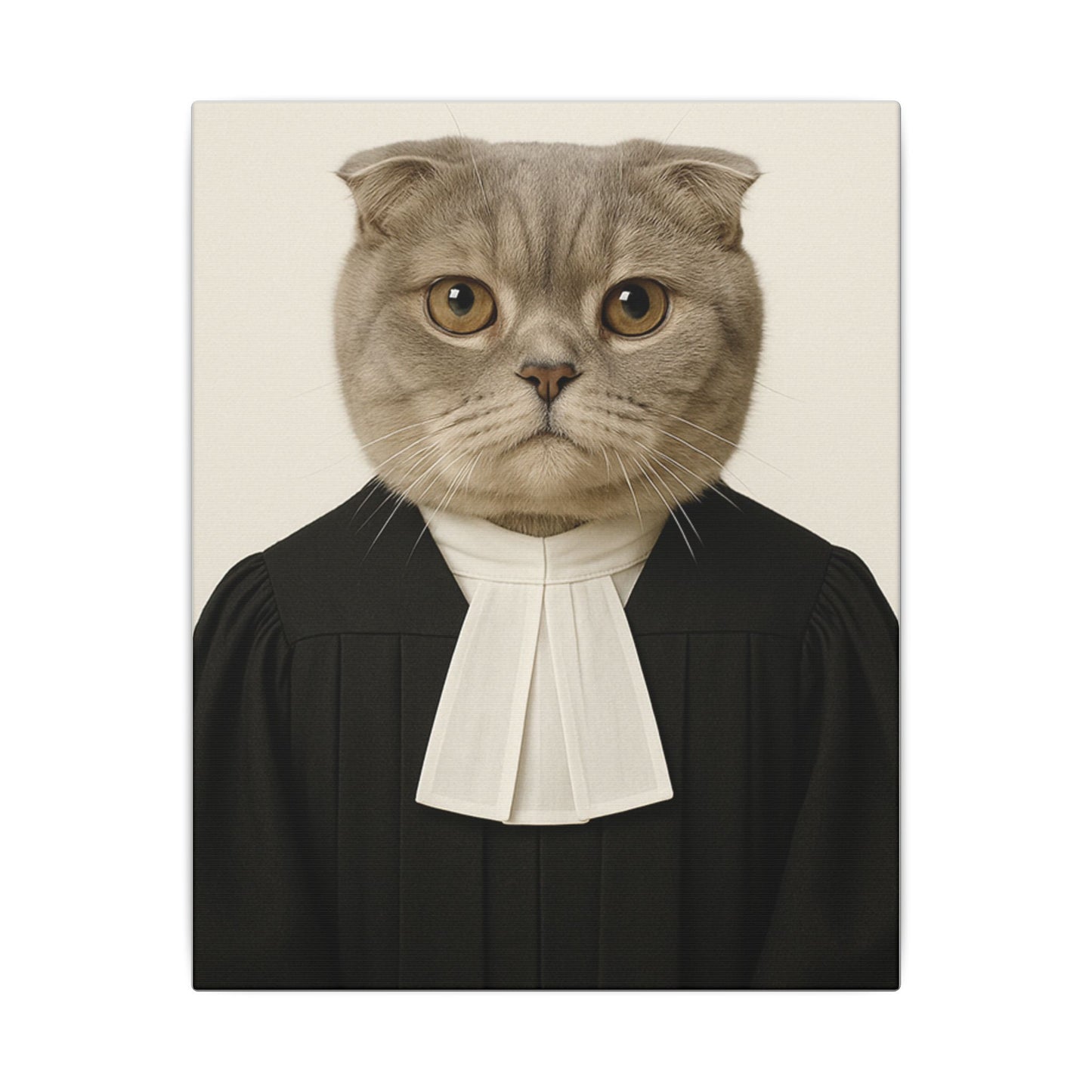 The Judge