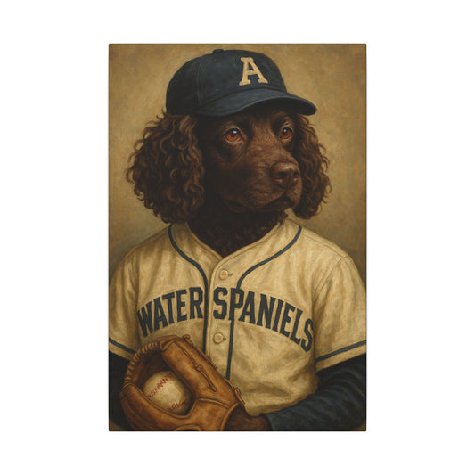 The Baseball Legend