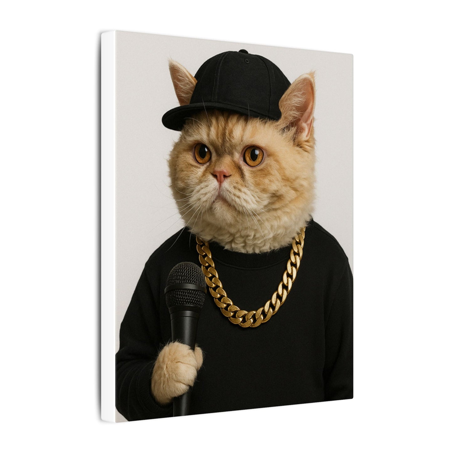 The Rapper