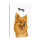 One pet Pawtrait