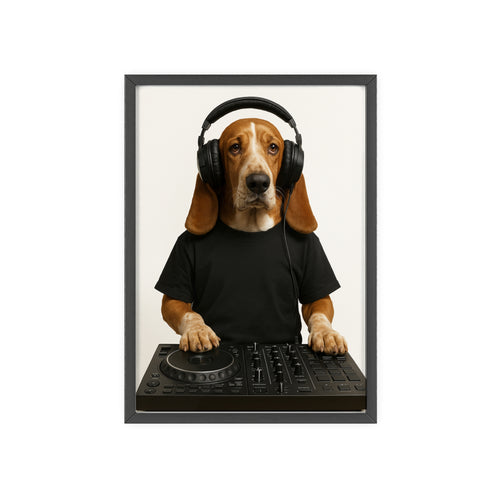 The DJ