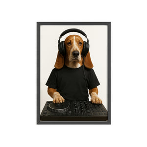 The DJ