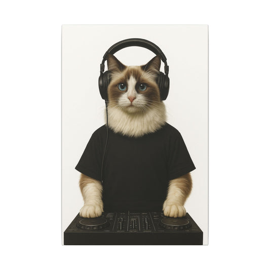 The DJ