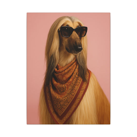 the Fashionista