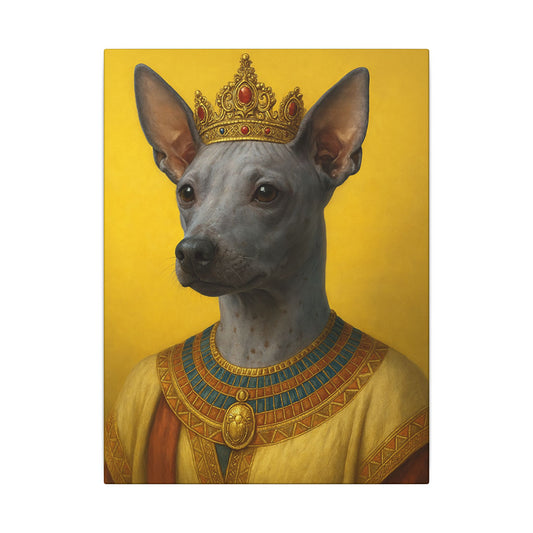 The Nubian Queen