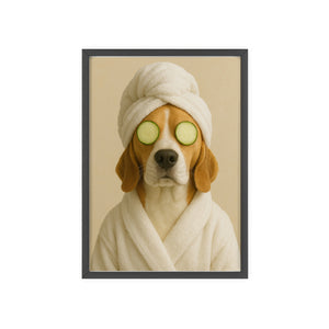 The Spa Day