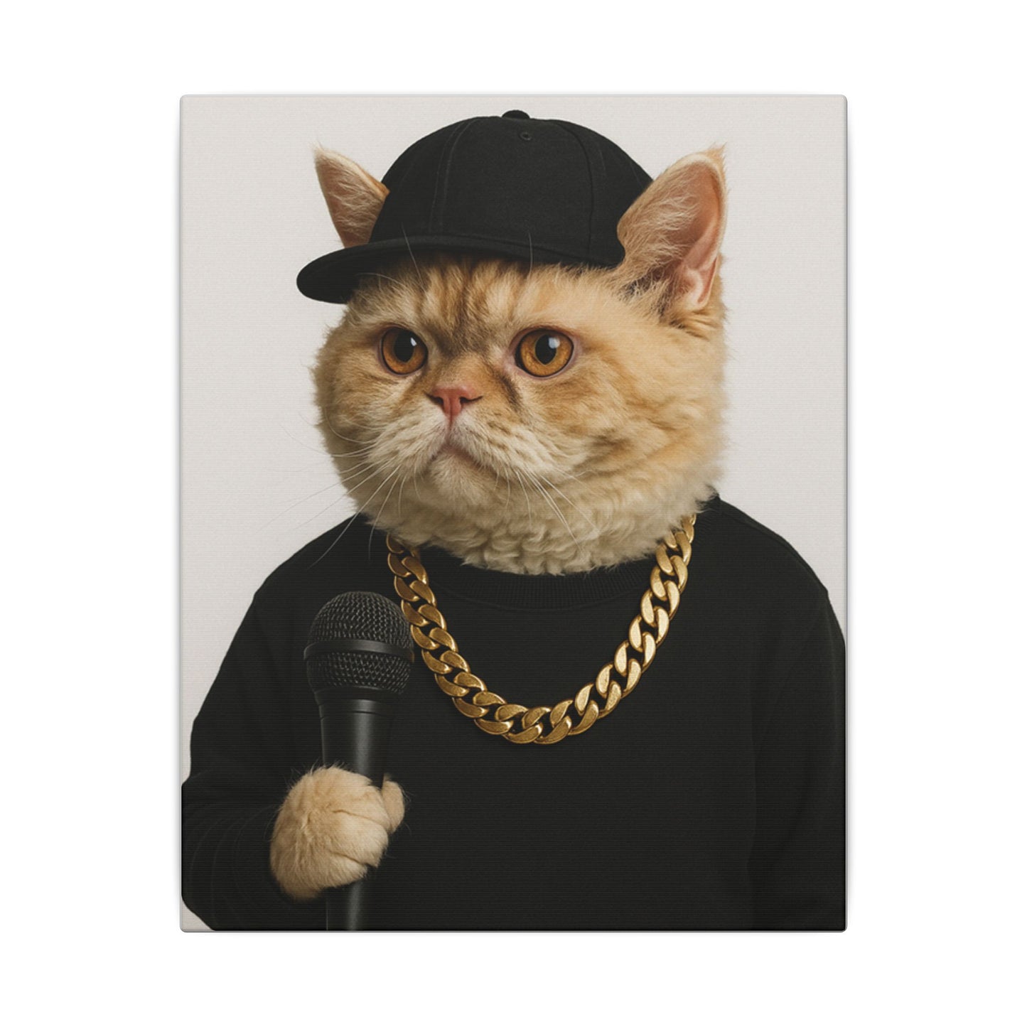 The Rapper