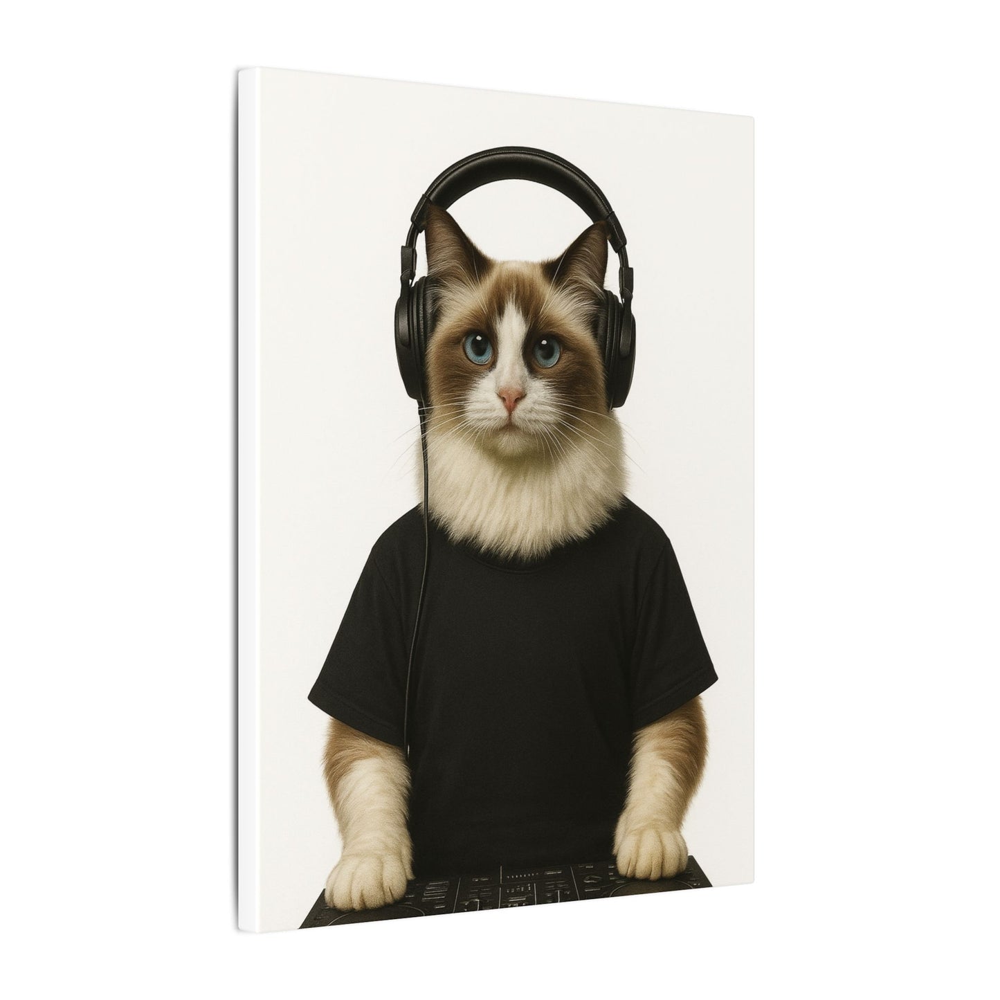 The DJ