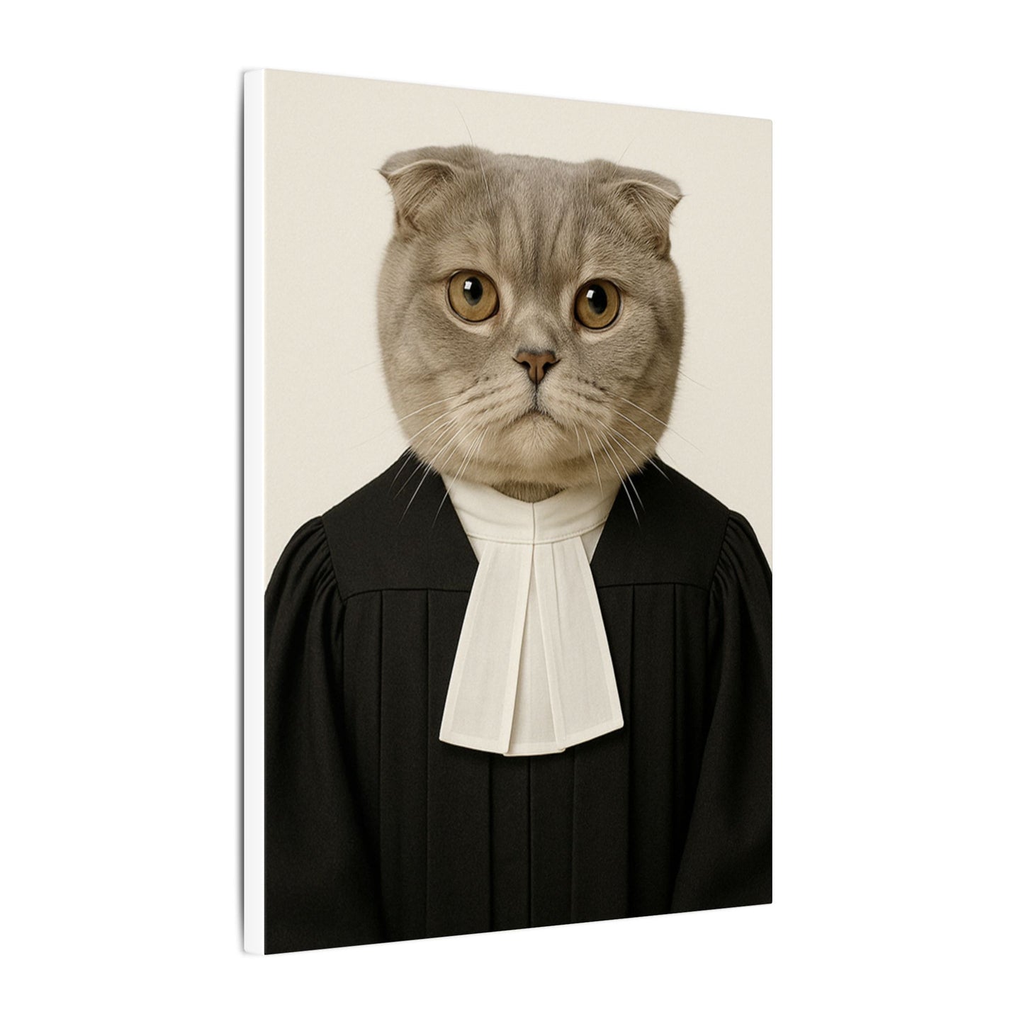 The Judge