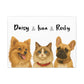 Three pets Pawtrait