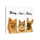 Three pets Pawtrait