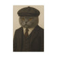 The Pawky Blinders
