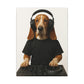 The DJ