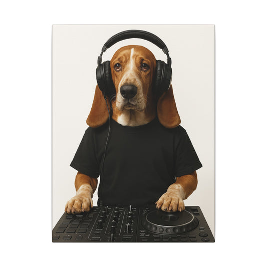 The DJ