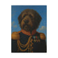 The Veteran Dog