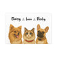 Three pets Pawtrait