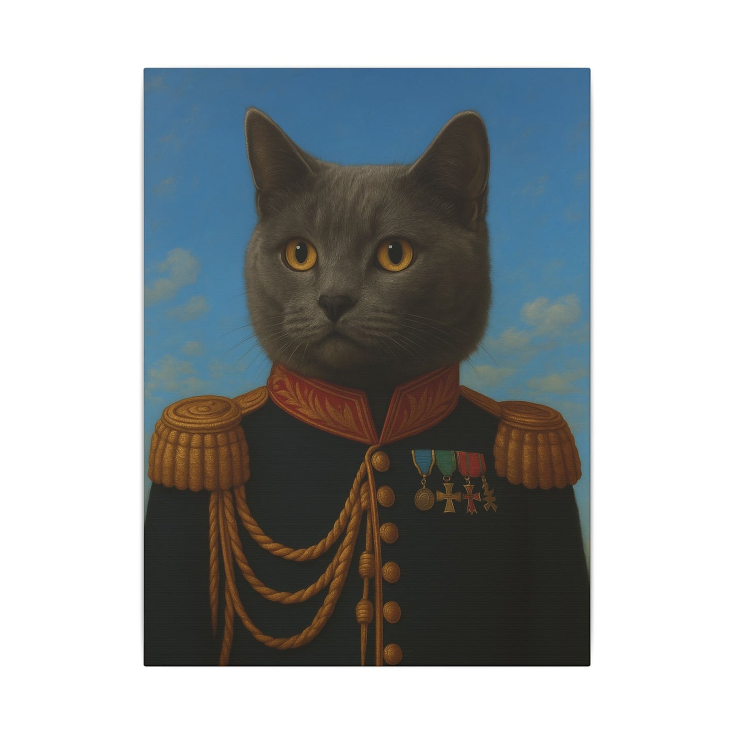 The Veteran