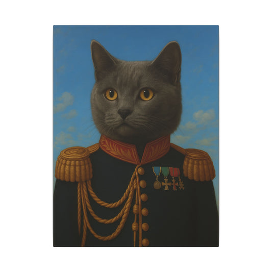 The Veteran