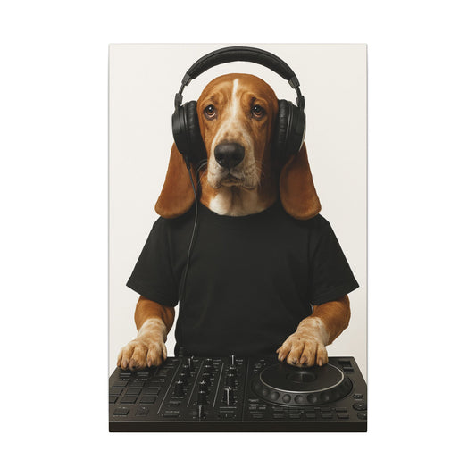 The DJ
