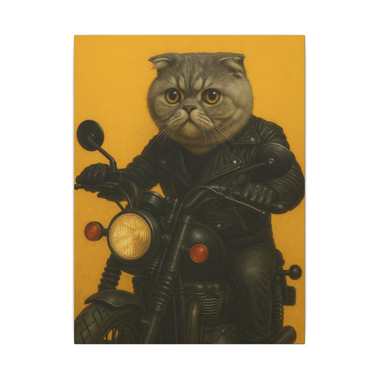 The Biker